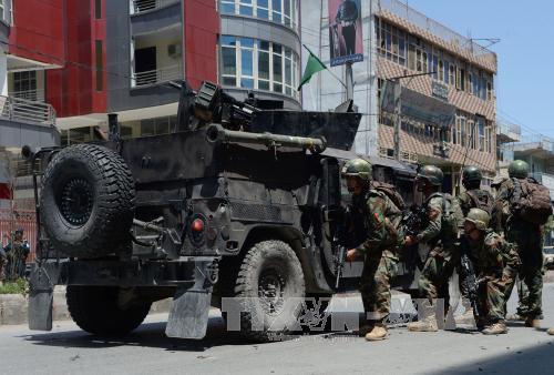 Hàng chục đối tượng khủng bố bị tiêu diệt tại Saudi Arabia và Afghanistan 